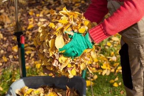 A person wearing bright green gardening gloves and a red long-sleeved top is seen holding a large bundle of yellow and brown autumn leaves. The leaves appear freshly raked and are being gathered for disposal or composting. In the background, a wheelbarrow filled with more fallen leaves is positioned on a grassy area with scattered leaves on the ground, suggesting an outdoor setting during autumn. The scene reflects typical leaf clearance activity that might require professional rubbish removal services, such as those provided by Commercial Waste Limehouse, to manage yard waste efficiently in the Limehouse area. The natural lighting indicates a clear day with sunlight illuminating the colourful foliage, and the overall environment is a tidy garden or park reflecting seasonal cleanup efforts.